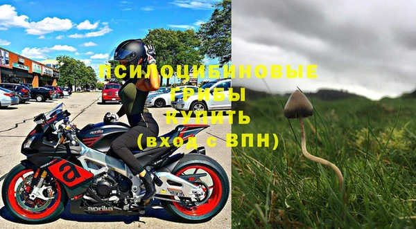 не бодяженный Алексин