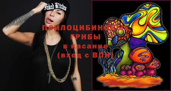 не бодяженный Алексин