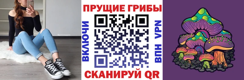 цены   Брянск  Псилоцибиновые грибы мухоморы 
